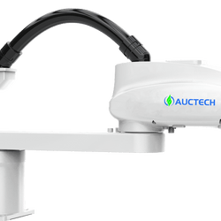 AUCTECH  роботи