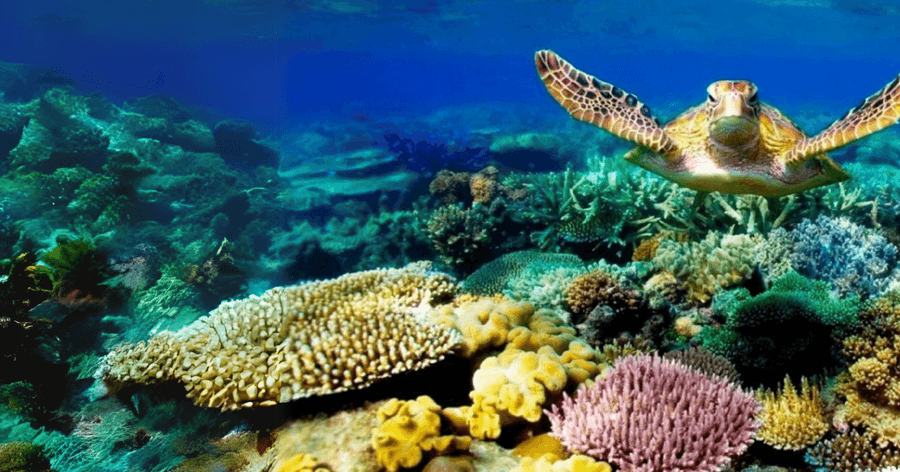 13th ATP1A3 in Disease Symposium