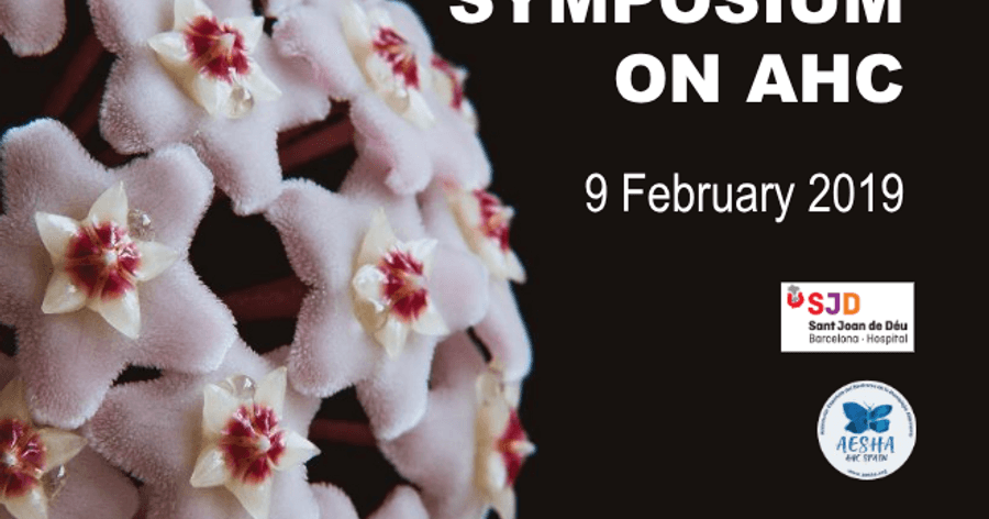 Symposium on AHC in Barcelona