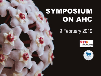 Symposium on AHC in Barcelona