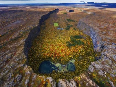 ATP1A3 Symposium in Disease in Iceland 2019