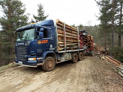 wood