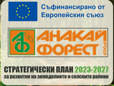 Новаторски проект за въвеждане на технология за добив на дървесина чрез самоходна въжена линия, електрическа вагонетка и процесорна глава, посредством спускане на дървесината по наклона на терена в Смолянско