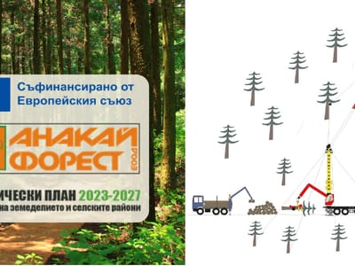 Новаторски проект за въвеждане на технология за добив на дървесина чрез самоходна въжена линия, електрическа вагонетка и процесорна глава, посредством контролирано спускане на дървесината по склона