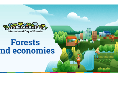 🌳 21 март – „Международен ден на горите“