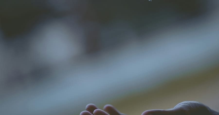 Нивата на съзнание според Дейвид Хокинс 