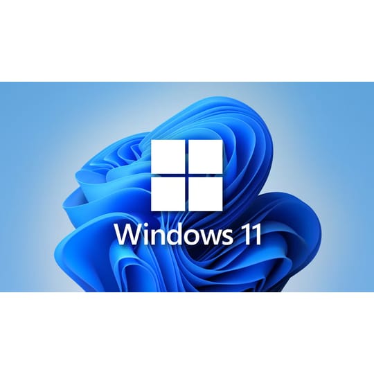 Microsoft Windows 11 (Home & Professional) - 64-bit