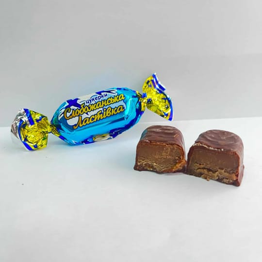 Слобожанска Ластівка