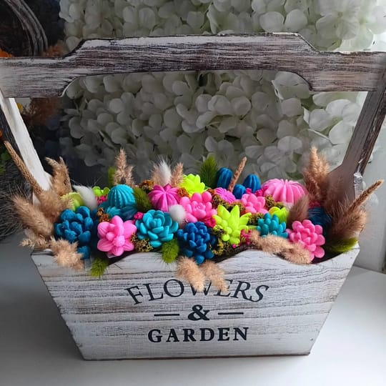 "Тропическа градина"сукуленти от сапун 