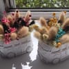 Аранжировка със сухи цветя