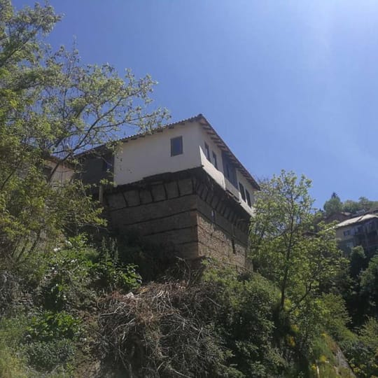 Соколовата къща 
