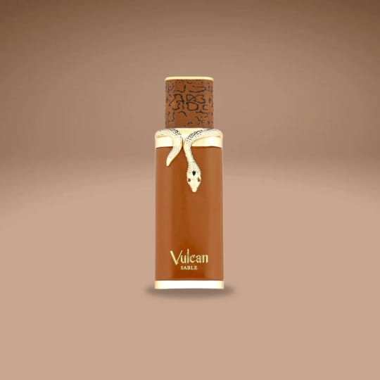 Fragrance World French Avenue Vulcan Sable 100 ml EDP