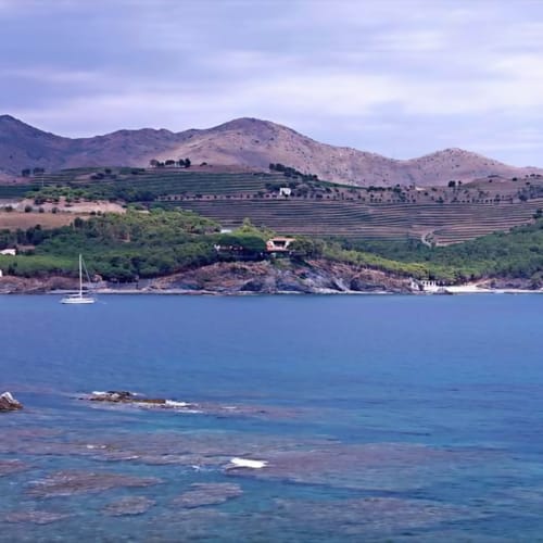Лозови тераси, които се спускат към морето при Гарбет