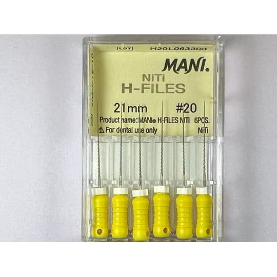 NITI H Files N20 21MM
