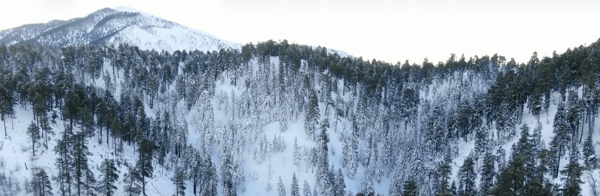 снежна планина