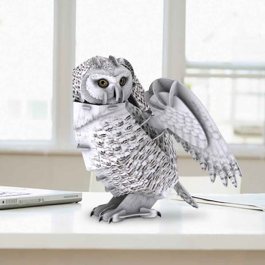 CubicFun Пъзел 3D National Geographic Полярна Сова 62ч.