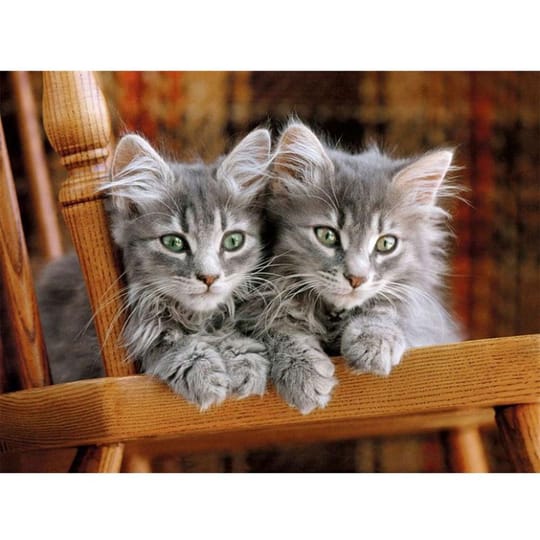 CLEMENTONI Пъзел 500ч КОТЕТА 30545