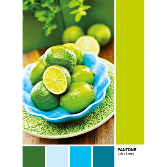 CLEMENTONI Пъзел 1000ч PANTONE LIME PUNCH