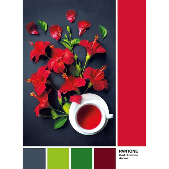 CLEMENTONI Пъзел 1000ч PANTONE GOJI BERRY