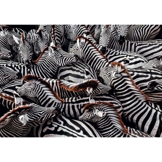 CLEMENTONI 1000ч. Пъзел National Geographic Zebra