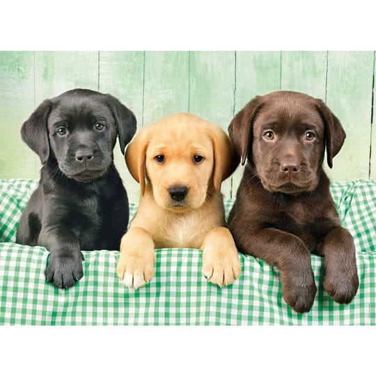 CLEMENTONI Пъзел HQ COLLECTION I TRE LABRADOR