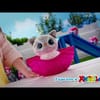 PETS ALIVE Коте Изненада Smitten Kittens