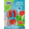 CLEMENTONI SCIENCE PLAY LAB Squishy Анатомия