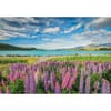 CLEMENTONI 1500ч. Пъзел High Quality Collection Lupins at Lake Tekapo