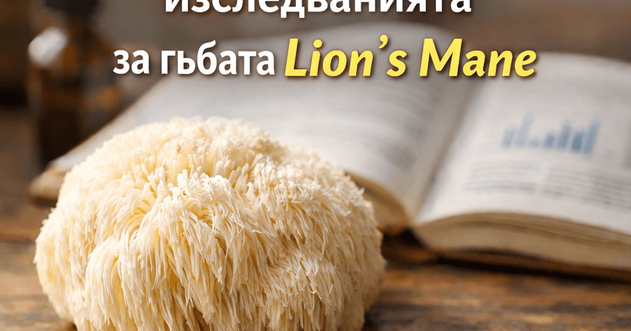 LION`S MANE, КАКВО НОВО РАЗКРИВА НАУКАТА