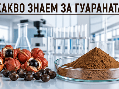 Екстракт от Гуарана: Биохакинг за Мозъка и Метаболизма