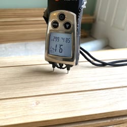 check moisture solid wood floor