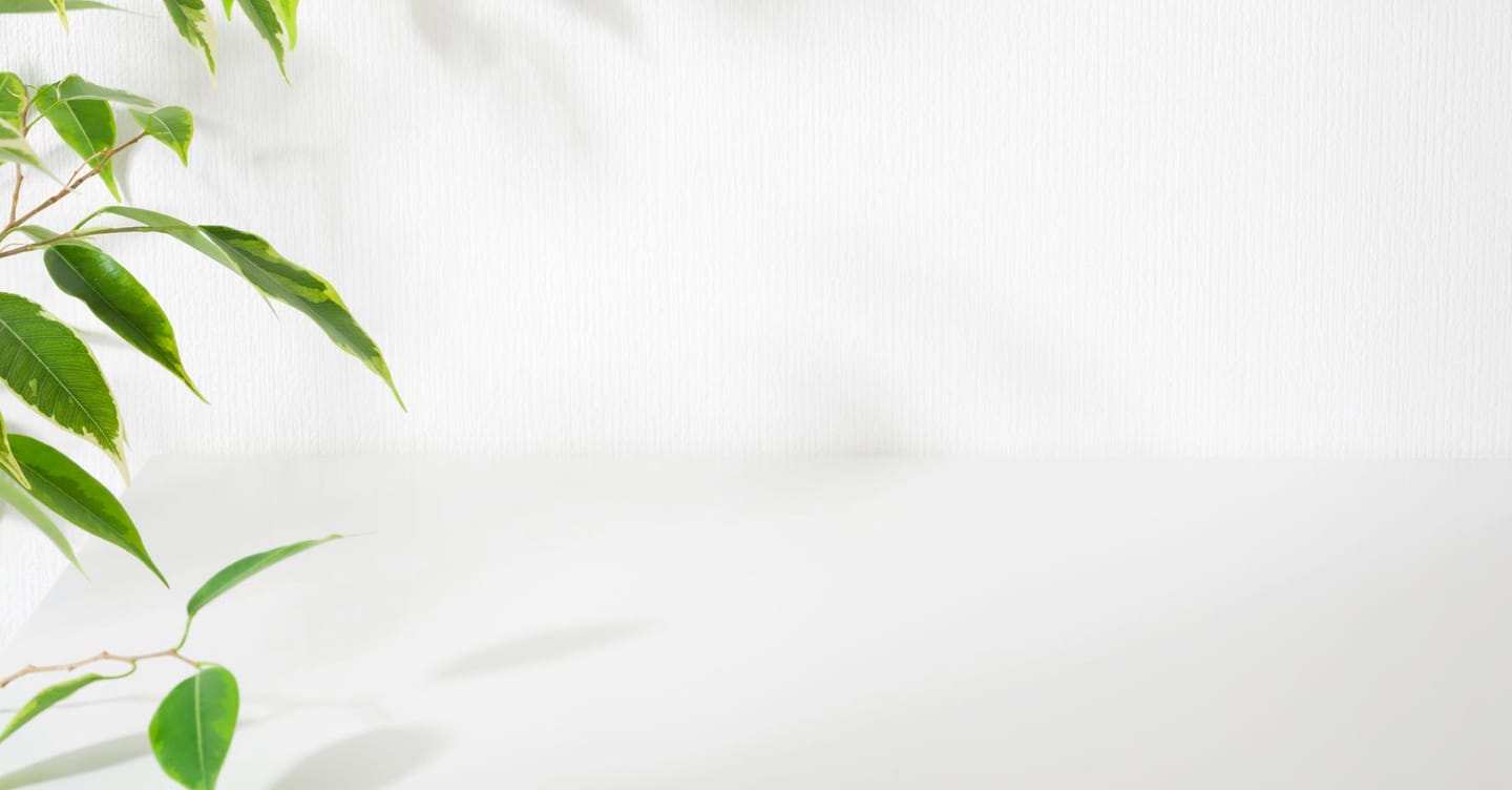 light background  drops waater