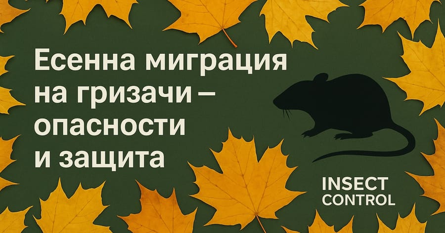 Нашествие на гризачи: Скритата опасност през есента