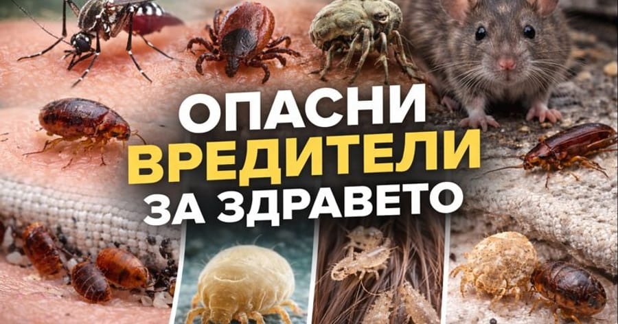 Кои вредители са най-опасни за здравето?