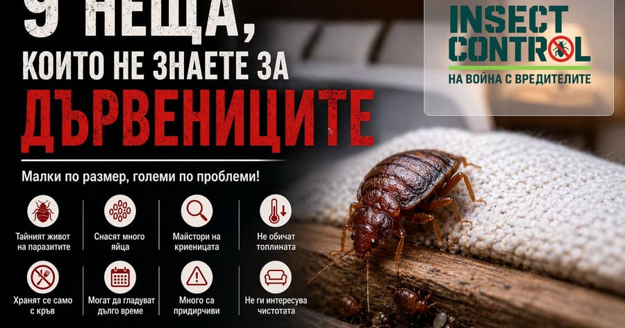 Дървеници: Факти, които трябва да знаете!