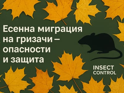 Нашествие на гризачи: Скритата опасност през есента