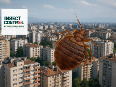 Бум на дървениците в София!