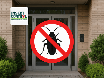 Борба с вредителите по входове и мазета с фирма Инсект Контрол