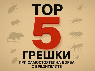 ТОП 5 грешки при самостоятелната борба с вредителите