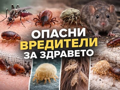 Кои вредители са най-опасни за здравето?