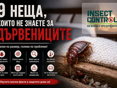 Дървеници: Факти, които трябва да знаете!