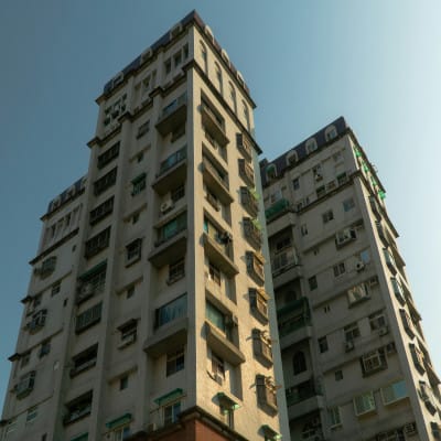 бълхи