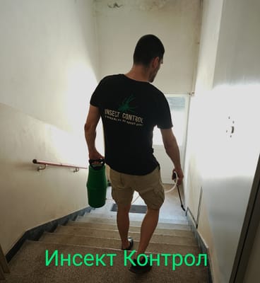 Пръскане на вход