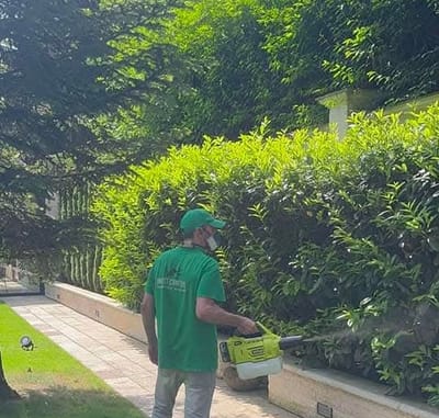 Аерозолна обработка против комари