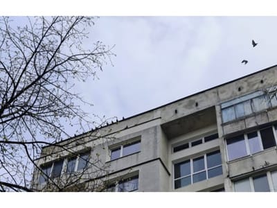 Почистване и замрежване на подпокривно пространство