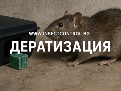 Дератизация (плъхове и мишки)