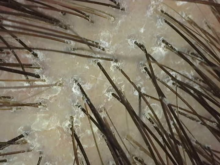 Радина Кръстева