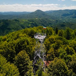вишка лисагора