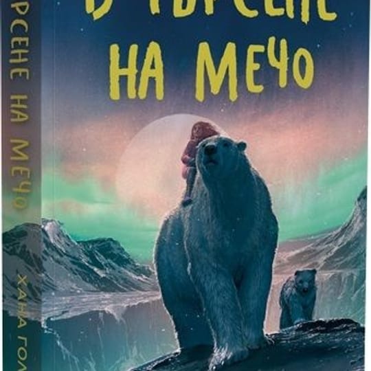 В търсене на Мечо