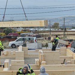 Проект Лешница